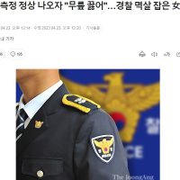음주측정 정상 나오자 """"무릎 꿇어""""…경찰 멱살 잡은 女공무원