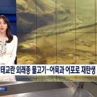 한국에 들어온 생태교란 외래종의 최후.jpg