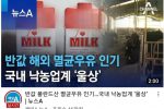 폴란드 우유에 밀린 한국 우유 업계의 비장의 수.jpg