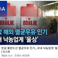 폴란드 우유에 밀린 한국 우유 업계의 비장의 수.jpg