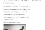 혐,분노주의)성북구 동산고등학교 학폭 영상