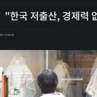 한국 저출산, 경제력 없는 남성 탓도 있어""""