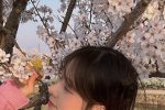 명아츄 벚꽃 구경 의상 ㅗㅜㅑ