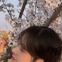 명아츄 벚꽃 구경 의상 ㅗㅜㅑ