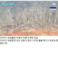 현재 한국 생태계 파괴시키고 있는 빌런 새