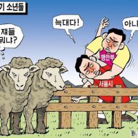 ■한국일보 6월 1일 만평