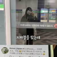 한국 여행왔는데 에어드롭 때문에 무서웠던 일본인.jpg