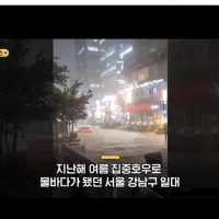 서울시 일대 빗물받이 근황