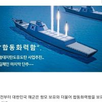 광기의 대한민국 해군