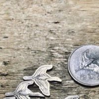 한국 동전을 훼손한 중국인