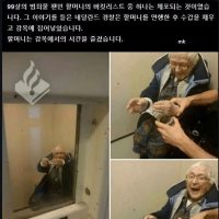 죄없는 99살 할머니를 잡아 가둔 네덜란드 경찰