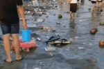 중국 해수욕장 근황
