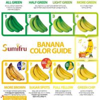 바나나 색깔 가이드라인