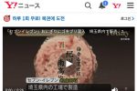 혐)난리난 일본 편의점 주먹밥