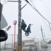 오키나와 태풍 근황.jpg