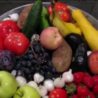 (SOUND)과일&야채별 썩는 속도 비교