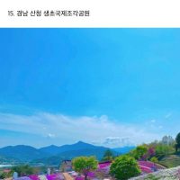 한국관광공사 인스타에 올라온 사진들