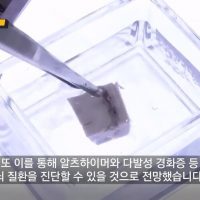 특수 용액에 넣었던 쥐가 투명해진 이유