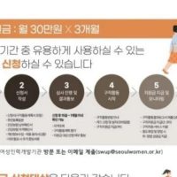 서울시 백수 여성에게 90만원 지급