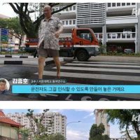 싱가포르에서 늘어나고 있는 노인 무단횡단 방지 대책