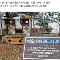 독일과 한국의 ‘고양이 보호 조례’