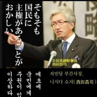 일본 """"유사 민주주의""""를 따라가는 대한민국 """"자칭 민주주의"""" 정권