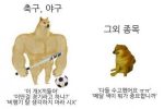 국가대표를 보는 한국인 특징
