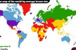 전세계 평균 가슴 사이즈 지도