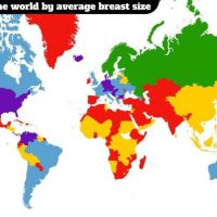 전세계 평균 가슴 사이즈 지도