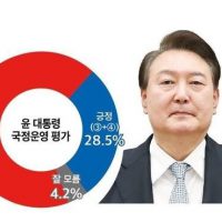 강서구 보선 최종 투표율