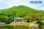 한국인들도 잘 모르는 한국식 전통 정원