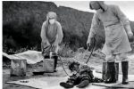 “수술대서 강간하는 의사를 봤습니다”…일본 731부대 체험한 천재소설..