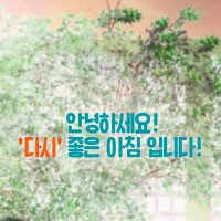 박보영 주연, 넷플릭스 ''정신병동에도 아침이 와요'' 공식 예고편, 포스터