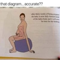 임신 설명하는 삽화