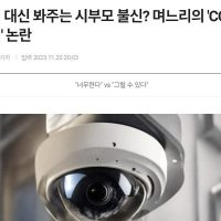 시부모 감시용 CCTV 설치한 며느리