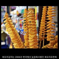 한국에서 최초로 개발된 음식들
