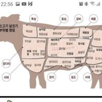 한국인의 식성 요약.jpg