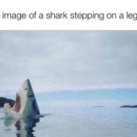레고 밟은 상어