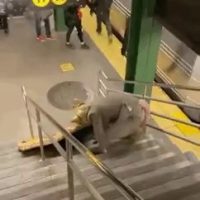 뉴욕 지하철 쥐 근황.gif