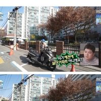 강남 아파트 앞에서 추억에 젖는 김광규