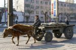 전쟁 준비 돌입한 북한 보급물자 이동중 ㄷㄷㄷ