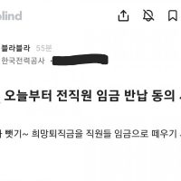 한국전력공사 임금 반납 동의서 받기 시작.blind