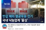 폴란드 우유에 밀린 한국 우유 업계의 비장의 카드