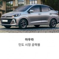 한국에선 볼 수 없는 현대차들