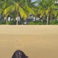 (SOUND)레이싱 모델 민한나 바닷가 예쁜 비키니 명품 몸매