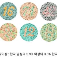 한국인 약 165만명이 색각이상자