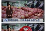 전 세계에서 한국만 사과 수입 금지