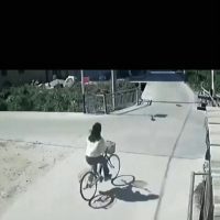쿨한 자전거녀~