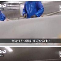 중국의 충격적인 가짜 삼겹살 제조 현장