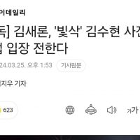 김새론, ''빛삭'' 김수현 사진에 직접 입장 전한다